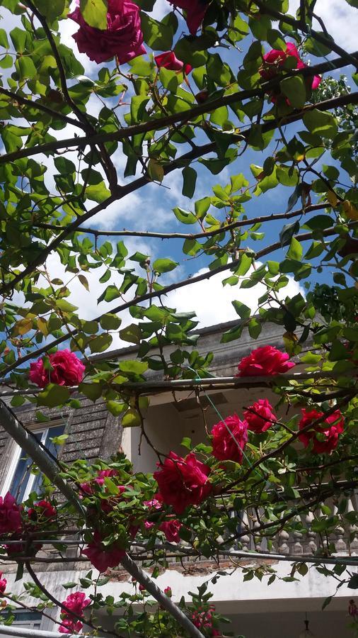 Guest House T&N Kutaisi Exterior foto